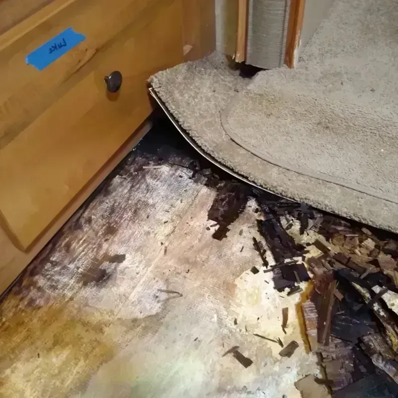 Wood Floor Water Damage in Wayne, MI